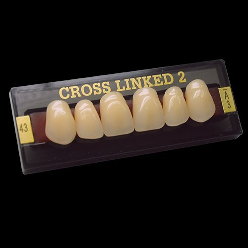 CROSS LINKED 2 (Seitenzähne)A1 T1OK